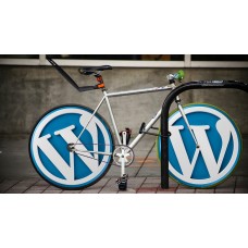 Wordpress web hosting (blog)